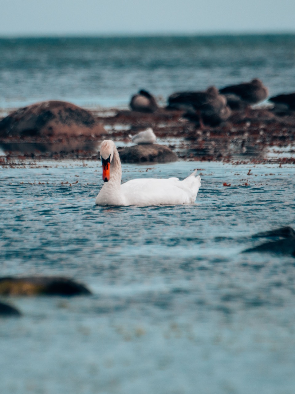Natur 10